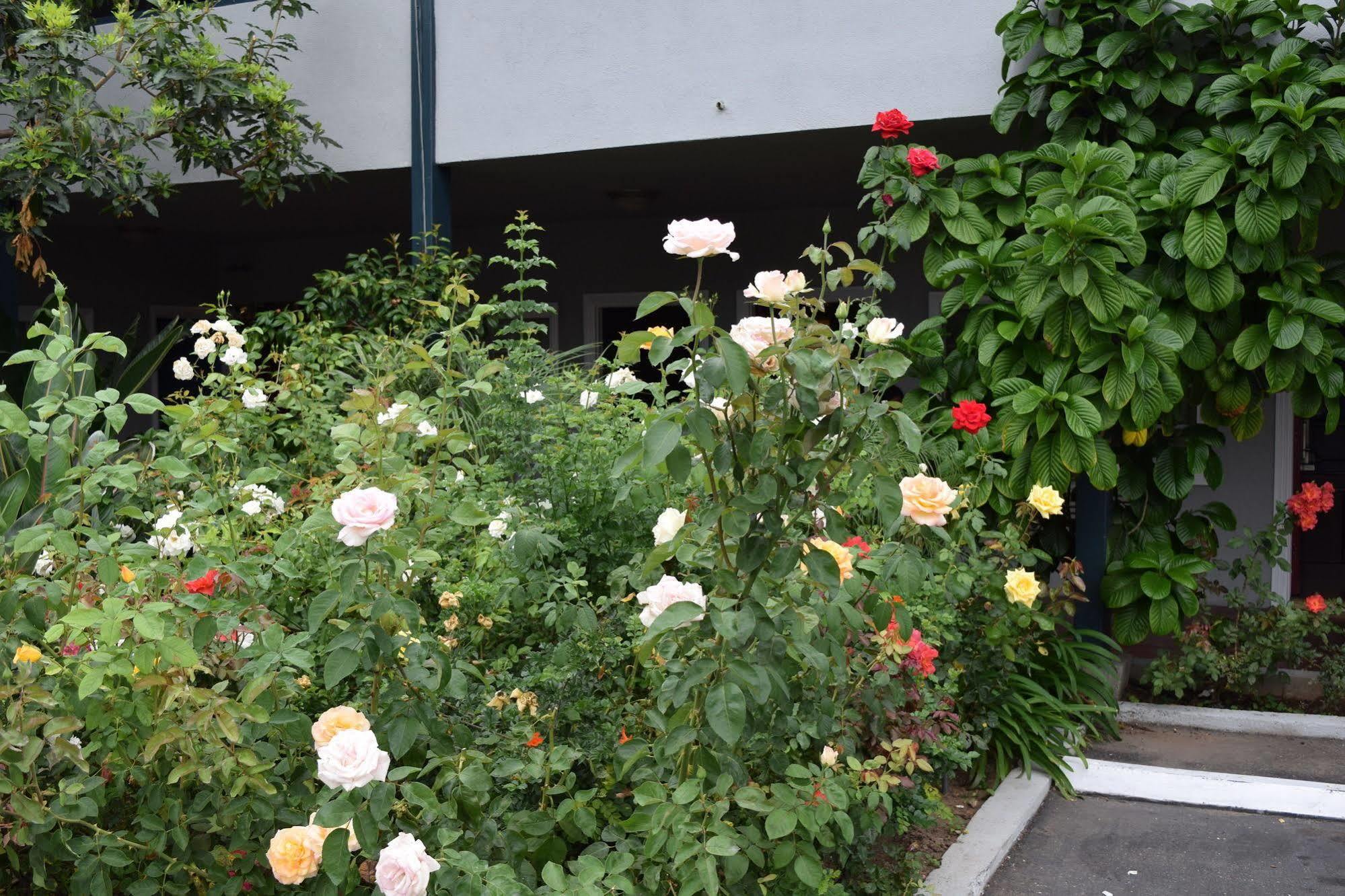 Rose Garden Inn Santa Barbara Dış mekan fotoğraf